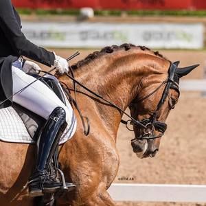 Meet your Posher, Irene